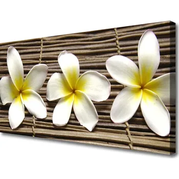 Obraz Obraz na plátně Květiny Rostlina Příroda 120x60 cm