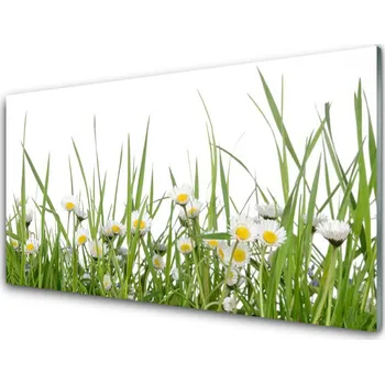 Obklad Kuchyňský skleněný panel Tráva Sedmikrásky Příroda 140x70 cm