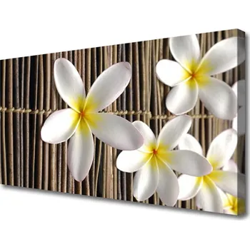 Obraz Obraz na plátně Květiny Rostlina Příroda 120x60 cm