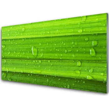 Obraz Obraz na skle Tráva Rostlina Příroda 125x50 cm 4 Přívěsky