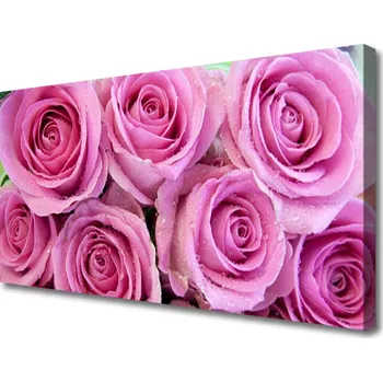 Obraz Obraz na plátně Růže Květiny Rostlina 120x60 cm