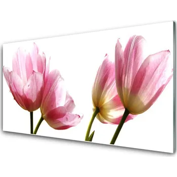 Obraz Obraz na skle Květiny Rostlina 125x50 cm 2 Přívěsky