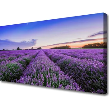 Obraz Obraz na plátně Louka Květiny Příroda Rostlina 125x50 cm