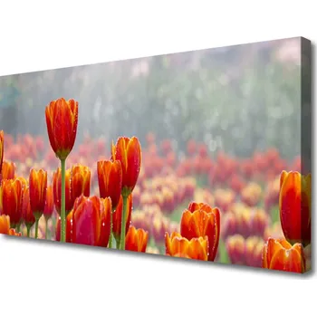 Obraz Obraz na plátně Tulipány Květiny Rostlina 100x50 cm