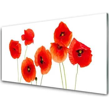 Obklad Skleněné obklady do kuchyně Máky Rostlina Příroda 125x50 cm