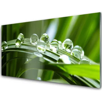 Obklad Skleněné obklady do kuchyně Tráva Rosa Kapky Rostlina 140x70 cm