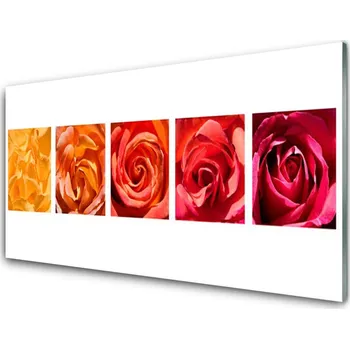 Obraz Obraz na skle Růže Květiny Rostlina 120x60 cm 2 Přívěsky