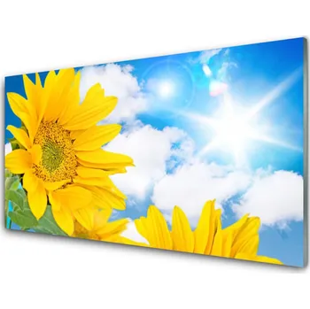 Obraz Obraz na skle Květiny Rostlina Příroda 120x60 cm 2 Přívěsky