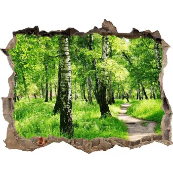 Fototapeta Nálepka fototapeta 3D výhled Břízový les