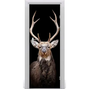 Fototapeta Samolepící fototapeta na dveře Jelen 75x205 cm