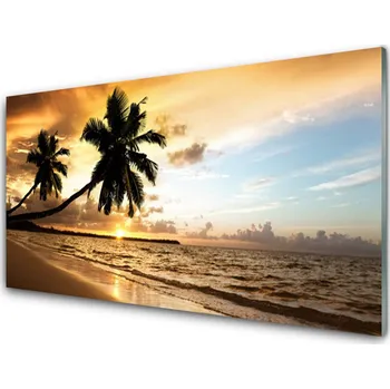 Obraz Obraz na skle Palma Stromy Pláž Krajina 100x50 cm 2 Přívěsky