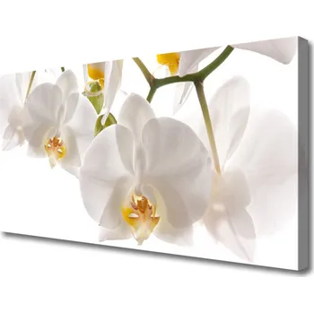 Obraz Obraz na plátně Květiny Rostlina Příroda 100x50 cm