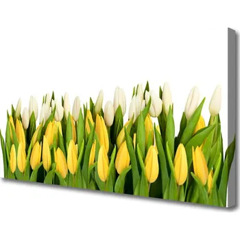 Obraz Obraz na plátně Tulipány Květiny Rostlina 120x60 cm