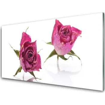 Obraz Obraz na skle Růže Květiny Rostlina 125x50 cm 2 Přívěsky
