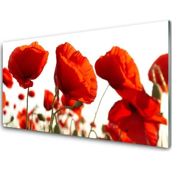 Obklad Kuchyňský skleněný panel Máky Rostlina Příroda 140x70 cm