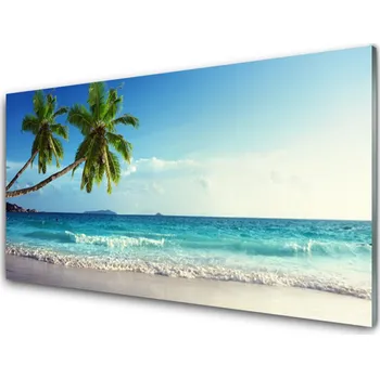 Obraz Obraz na skle Moře Pláž Palma Krajina 100x50 cm 2 Přívěsky