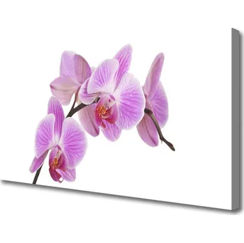 Obraz Obraz na plátně Květiny Rostlina Příroda 125x50 cm