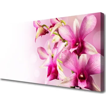 Obraz Obraz na plátně Květiny Rostlina Příroda 100x50 cm