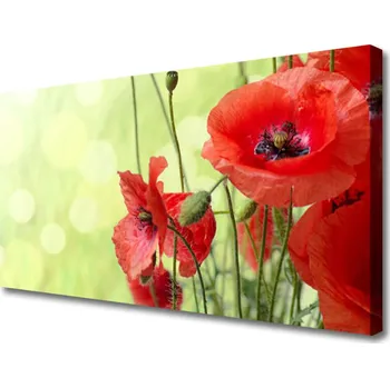 Obraz Obraz na plátně Máky Květiny Příroda 125x50 cm