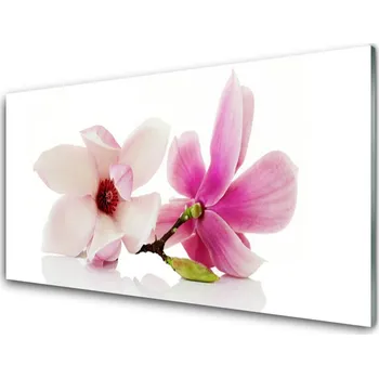 Obraz Obraz na skle Květiny Rostlina Příroda 100x50 cm 2 Přívěsky