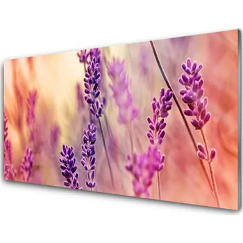 Obraz Plexisklo-obraz Květiny Rostlina Příroda 125x50 cm 2 Přívěsky