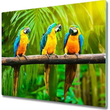 Kuchyňské prkénko Skleněná krájecí deska Papoušci na větvi 60x52 cm