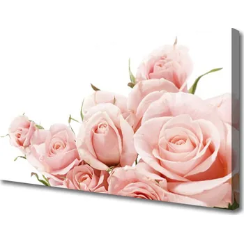 Obraz Obraz na plátně Růže Květiny Rostlina 125x50 cm