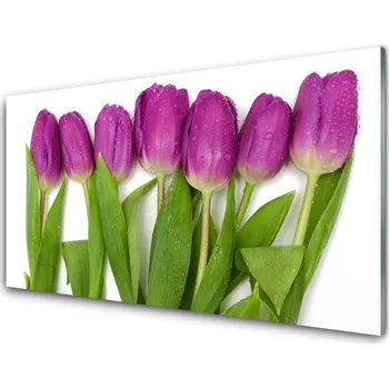 Obraz Obraz na skle Tulipány Květiny Rostlina 125x50 cm 4 Přívěsky