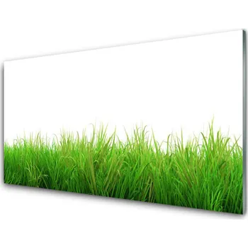 Obraz Obraz na skle Tráva Rostlina Příroda 125x50 cm 2 Přívěsky