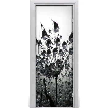 Fototapeta Fototapeta samolepící Semena pampelišky 85x205 cm