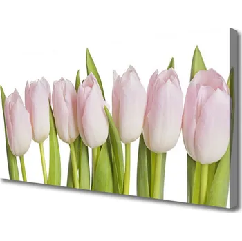 Obraz Obraz na plátně Tulipány Květiny Rostlina 100x50 cm