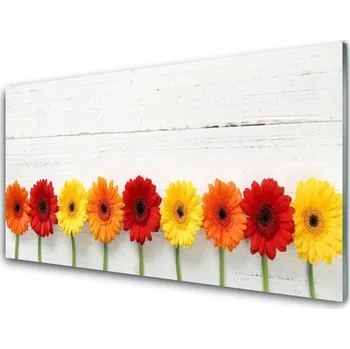 Obraz Obraz na skle Květiny Rostlina Příroda 140x70 cm 4 Přívěsky