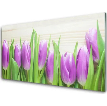 Obraz Plexisklo-obraz Tulipány Květiny Příroda 100x50 cm 2 Přívěsky