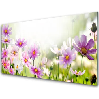 Obraz Obraz na skle Květiny Rostlina Příroda 125x50 cm 2 Přívěsky