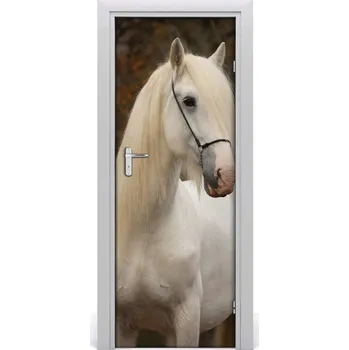 Fototapeta Samolepící fototapeta na dveře Bílý kůň 75x205 cm