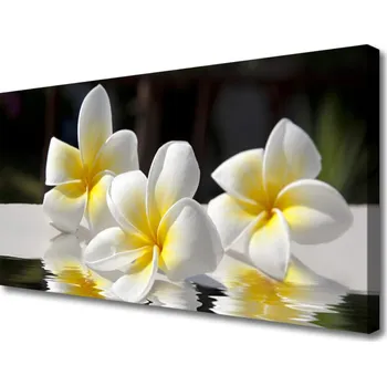 Obraz Obraz na plátně Květiny Rostlina Příroda 125x50 cm