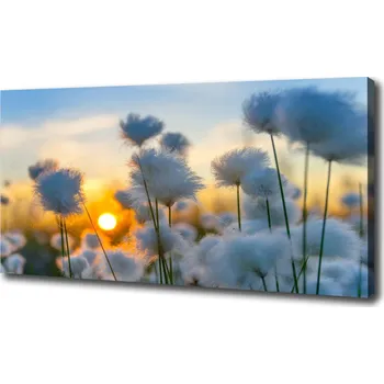 Obraz Obraz na plátně Květiny Rostlina Příroda 120x60 cm