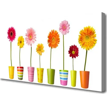 Obraz Obraz na plátně Květiny Rostlina Příroda 100x50 cm