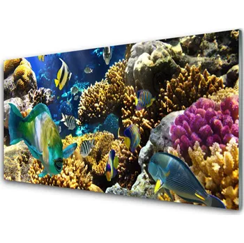 Obraz Obraz na skle Korálový Útes Příroda 120x60 cm 2 Přívěsky
