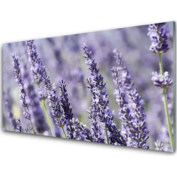 Obraz Obraz na skle Květiny Rostlina Příroda 125x50 cm 2 Přívěsky