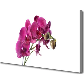 Obraz Obraz na plátně Orchidej Květiny Příroda 120x60 cm
