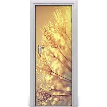 Fototapeta Fototapeta samolepící Semena pampelišky 85x205 cm