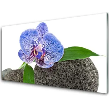 Obraz Obraz na skle Květ Rostlina Příroda 125x50 cm 2 Přívěsky