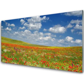 Obklad Kuchyňský skleněný panel Louka Květiny Krajina 140x70 cm