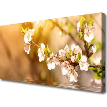 Obraz Obraz na plátně Květiny Rostlina Příroda 120x60 cm