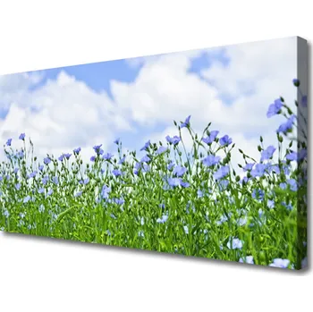 Obraz Obraz na plátně Květiny Rostlina Příroda 120x60 cm