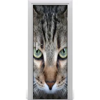 Fototapeta Samolepící fototapeta na dveře Oči kočky 85x205 cm