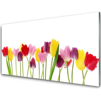 Obraz Obraz na skle Tulipány Květiny Rostlina 120x60 cm 2 Přívěsky