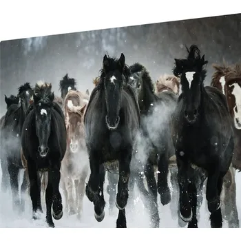 Kuchyňské prkénko Skleněná krájecí deska Koně v cvalu 60x52 cm