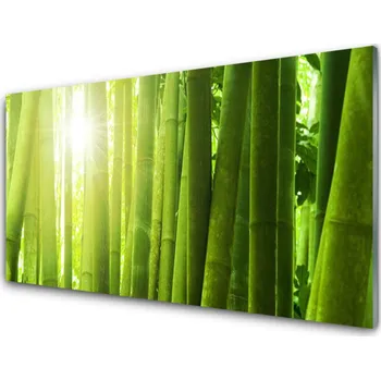 Obraz Obraz na skle Bambus Rostlina 125x50 cm 2 Přívěsky